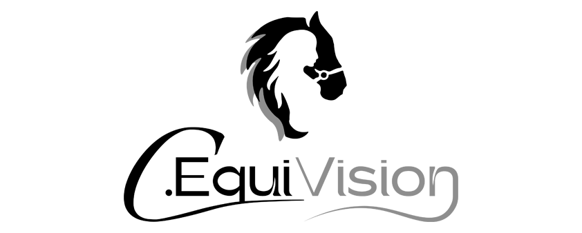 equivision